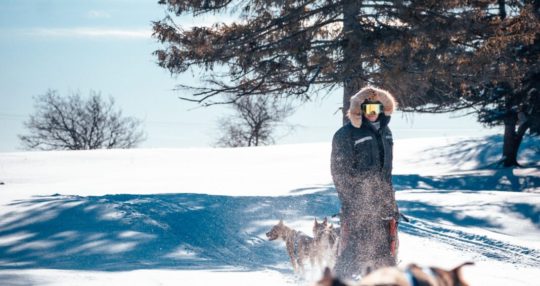 Bilden visar hudspann. Upplev Jukkasjärvi i Lappland med Dogsledding Sweden eller sköna Snowmobile tour Lapland Sweden