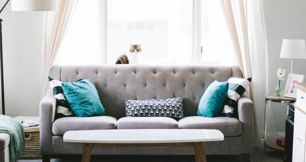 Bilden visar en sköna soffa som kan bytas mot en Teddy Soffa samt Teddy fåtölj eller en Bubble soffa samt skapa vacker inredning i naturstil.