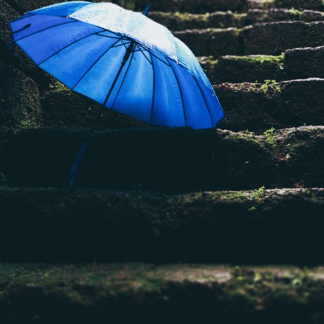 Paraply med tryck för ditt företag