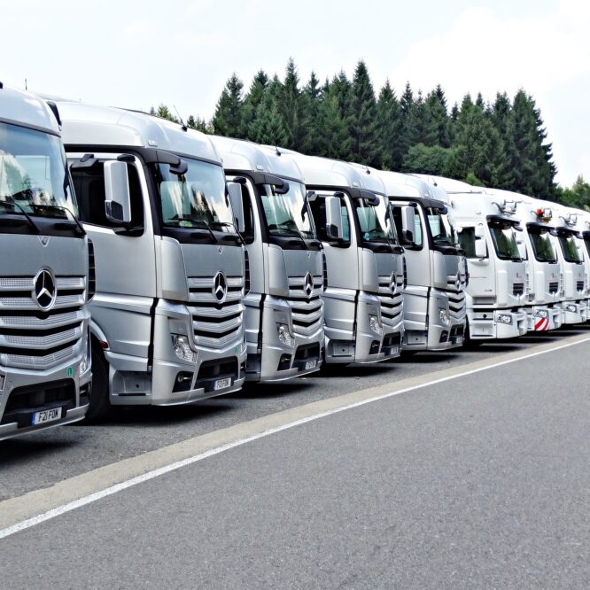 Logistiktjänster inom internationell transport