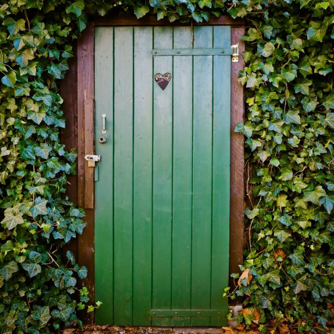 Vad du behöver veta om dörrar – en komplett guide